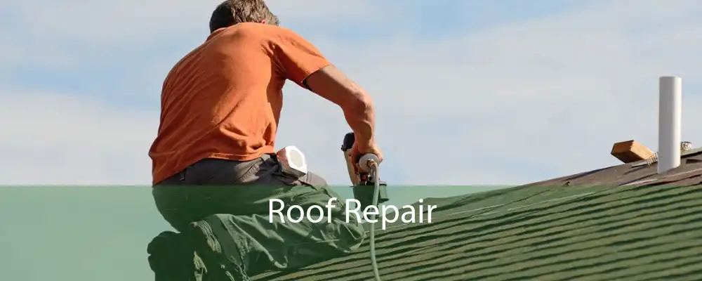 Roof Repair 