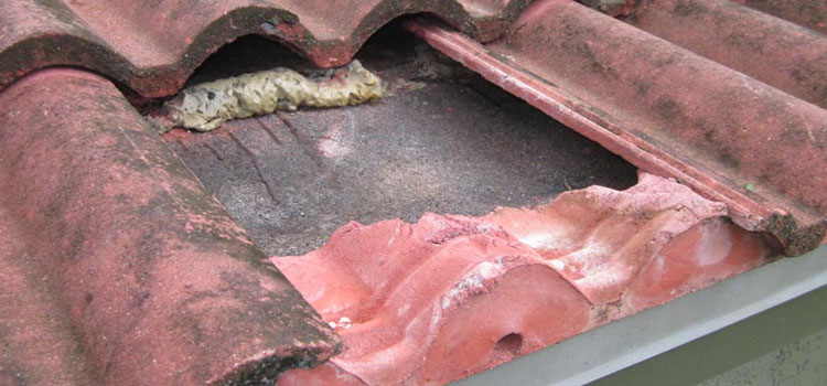 Concrete Ridge Tile Roofing Port Hueneme