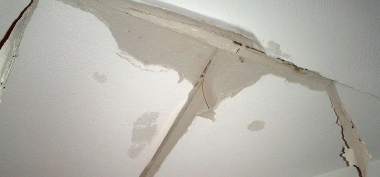 Metal Roof Repair Port Hueneme